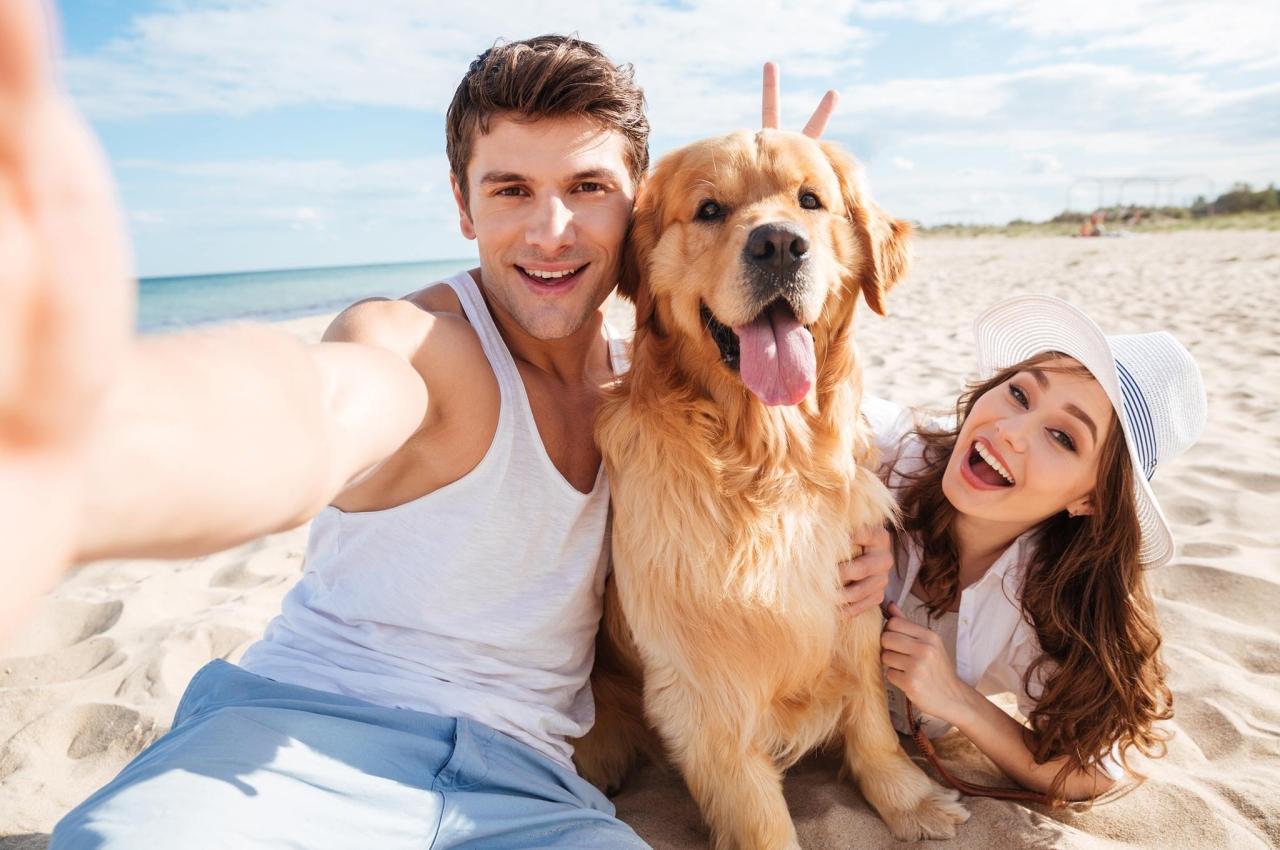 Dating für hundebesitzer